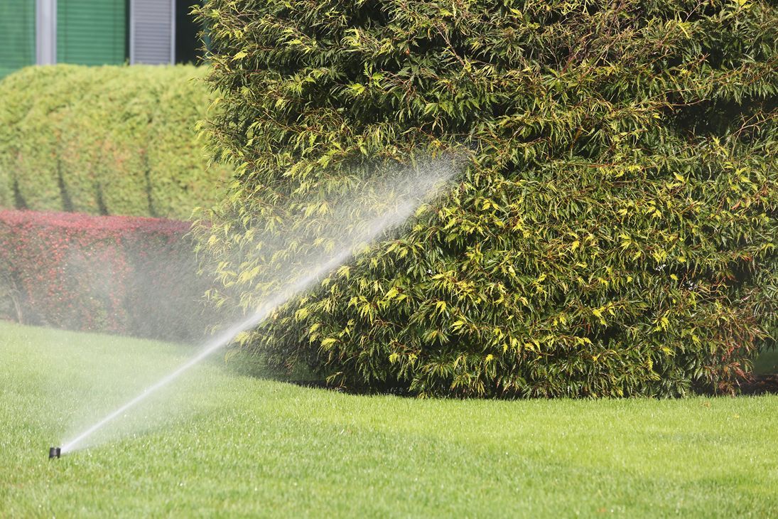 svc2 irrigation system services (2)